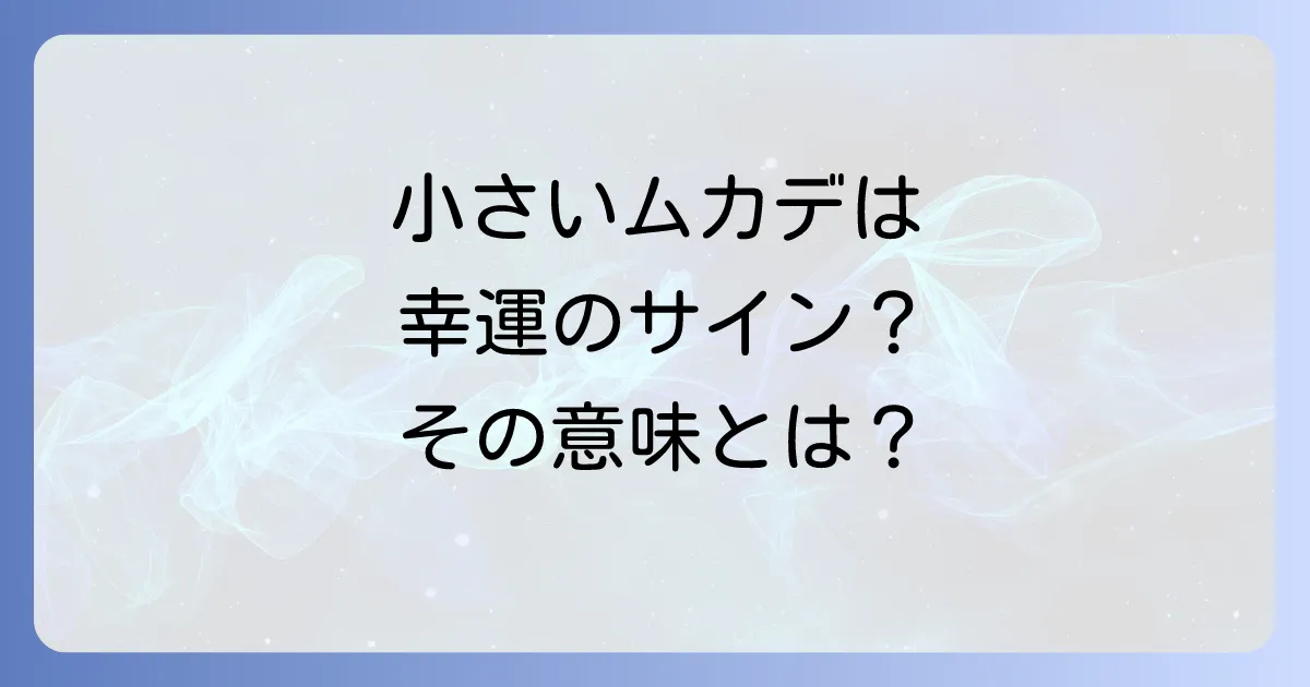 小さいムカデのスピリチュアルな意味とは？幸運のサインとメッセージを徹底解説