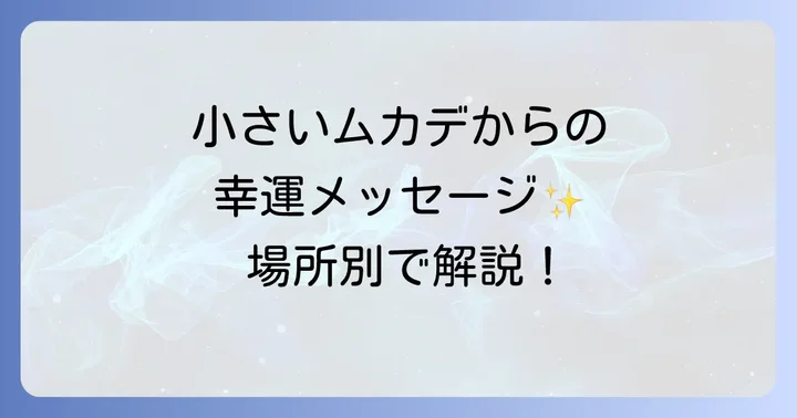 【場所別】小さいムカデが伝えるスピリチュアルなメッセージ