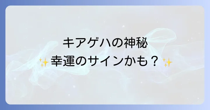 キアゲハとナミアゲハ、スピリチュアルな違いはある？