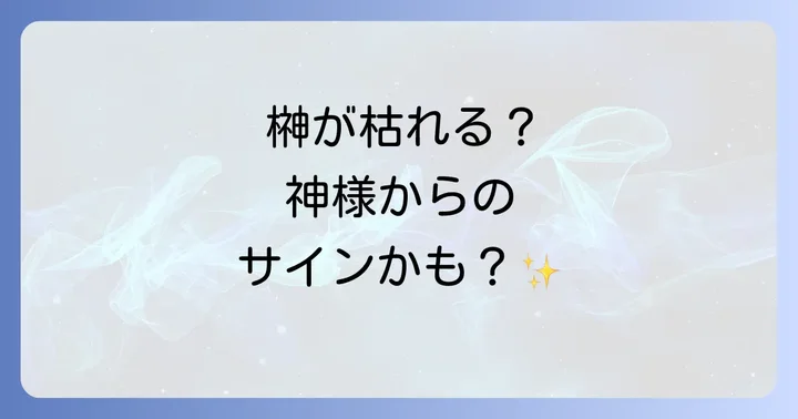 榊が枯れることのスピリチュアルな意味と、常に美しい榊を保つ重要性