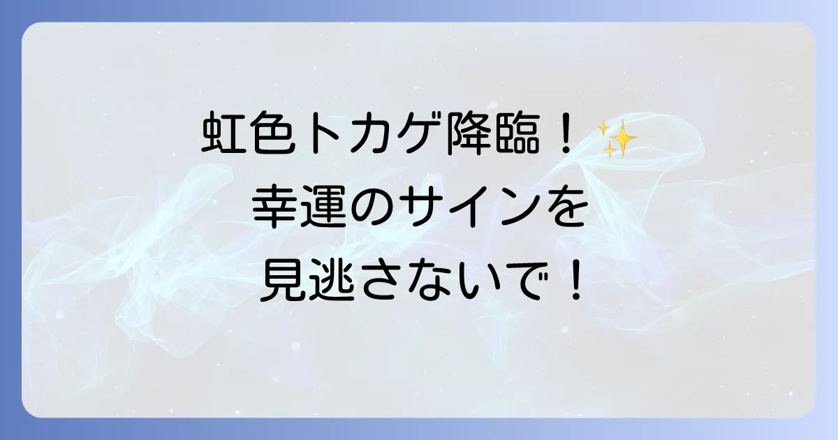 虹色トカゲのスピリチュアルな意味とは?幸運のサインと受け取るメッセージを徹底解説