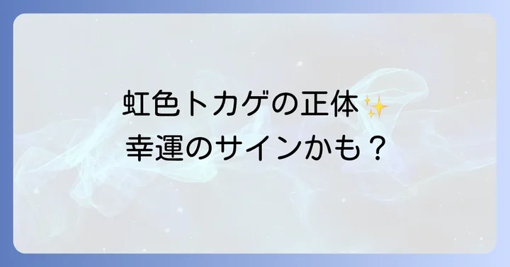 虹色トカゲの正体を知る!ニホントカゲの幼体について