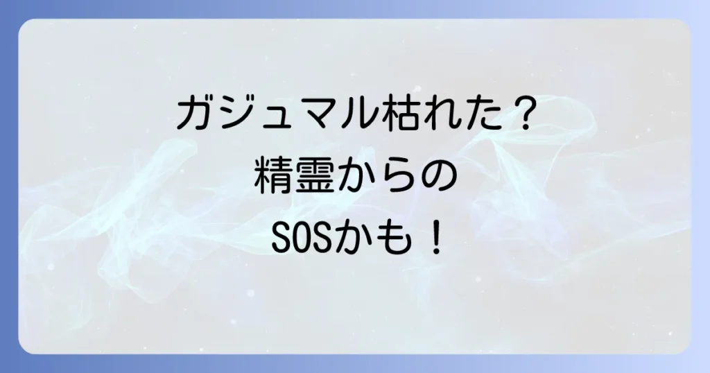 ガジュマルが枯れるスピリチュアルな意味とは？原因と対処法、元気にするコツを徹底解説
