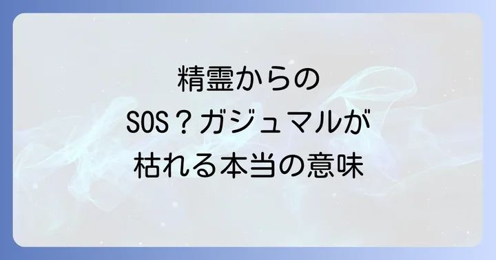 ガジュマルが枯れるスピリチュアルな意味とは？精霊からのメッセージを読み解く