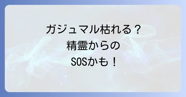 ガジュマルを枯らさない！元気な状態を保つ育て方のコツ