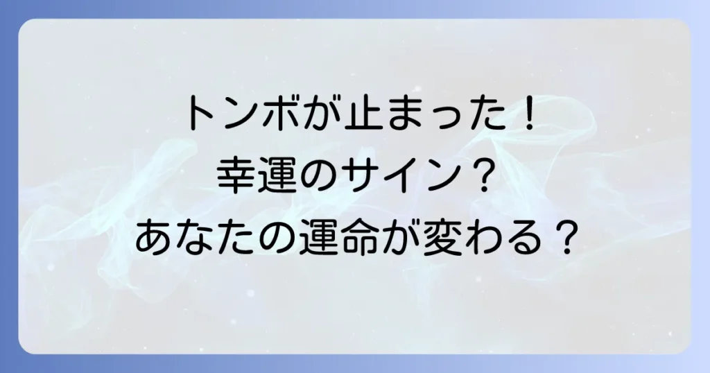 トンボが止まるスピリチュアルな意味を徹底解説！幸運のサインから変化のメッセージまで