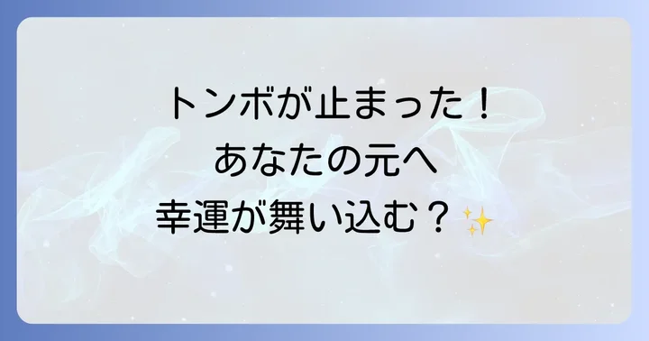 トンボが止まるスピリチュアルな意味とは？基本的な解釈
