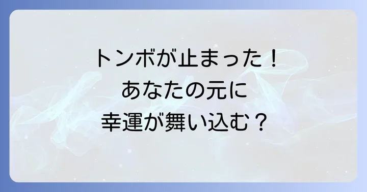 トンボが止まるスピリチュアルな状況別の解釈