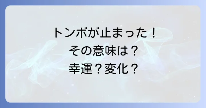 トンボのスピリチュアルな意味をさらに深掘り