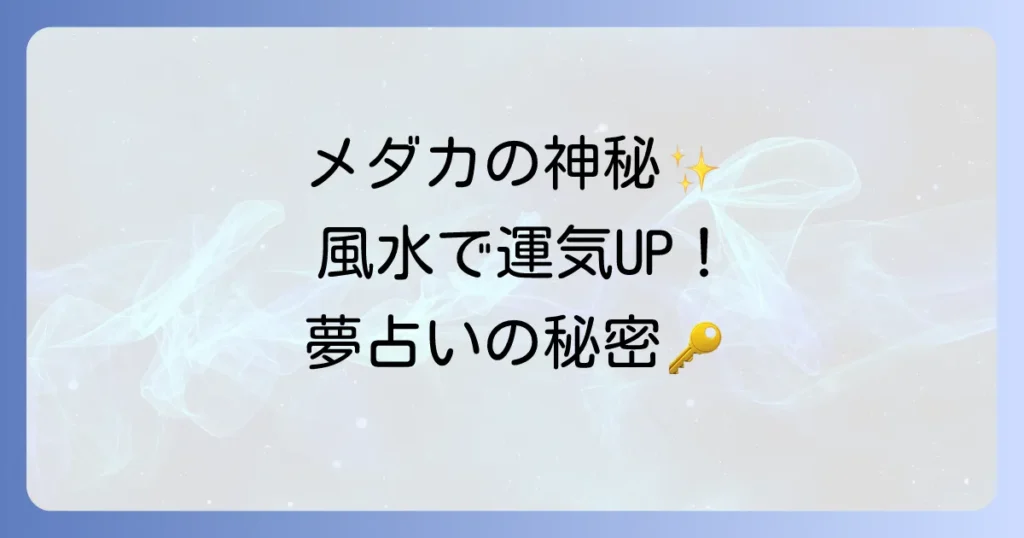 メダカのスピリチュアルな意味を徹底解説！幸運を呼ぶ風水と夢占いのメッセージ