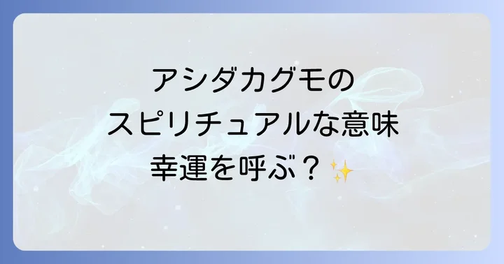 アシダカグモが家に出るスピリチュアルな理由と状況別のメッセージ