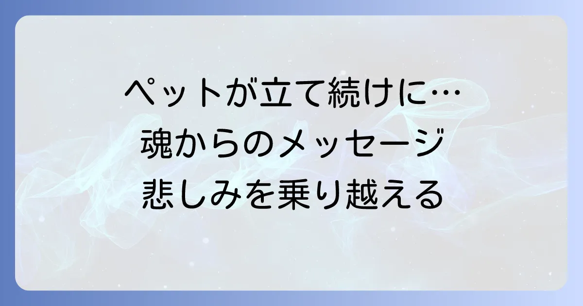 ペットが立て続けに亡くなるスピリチュアルな意味とは？悲しみを乗り越える魂のメッセージと癒しの方法