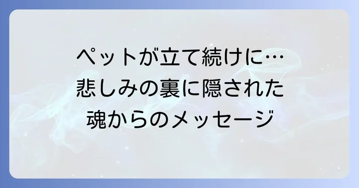 ペットが立て続けに亡くなるスピリチュアルな意味とは？