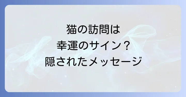 【毛色・種類別】ベランダに来る猫が伝えるスピリチュアルなメッセージ