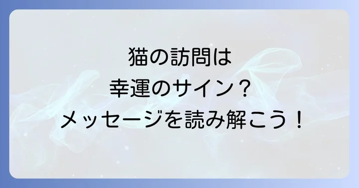ベランダに来る猫へのスピリチュアルな対応と注意点