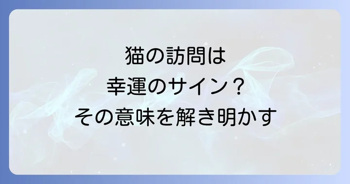 【Q&A】猫がベランダに来るスピリチュアルに関するよくある質問