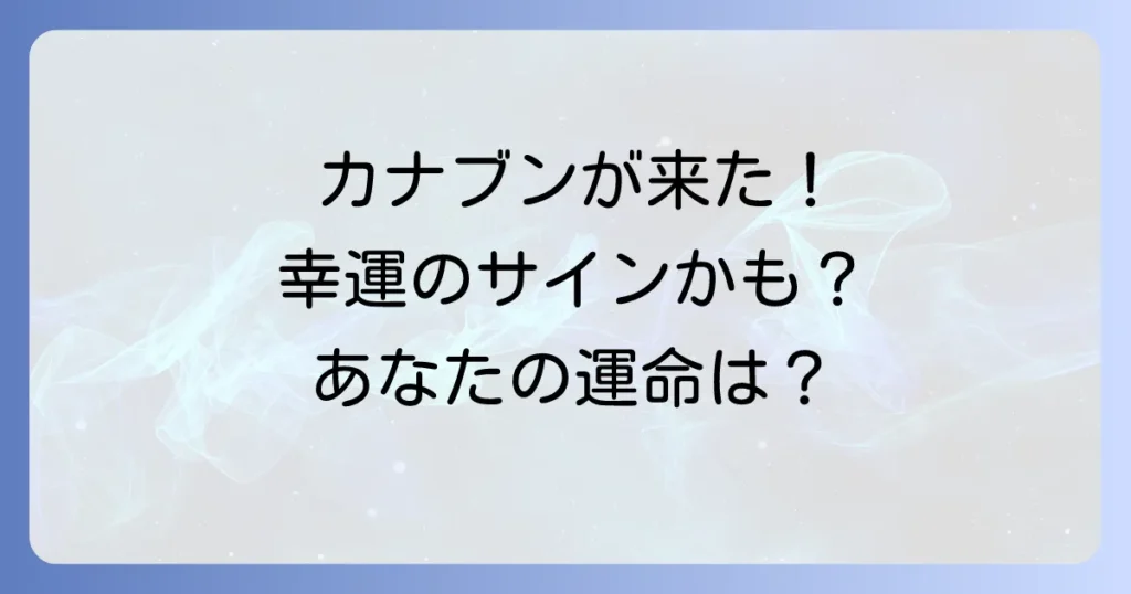 カナブンが家に入ってきた！スピリチュアルな意味と幸運を呼び込む対処法