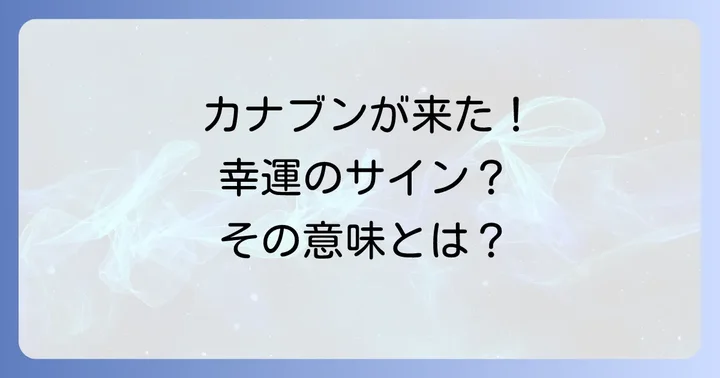 カナブンが家に入ってきた！スピリチュアルな意味とは？