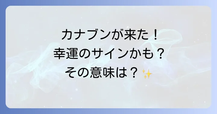 カナブンに関するよくある質問