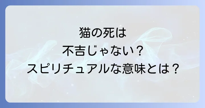 敷地内で猫が亡くなった時の現実的な対処法と心の整え方
