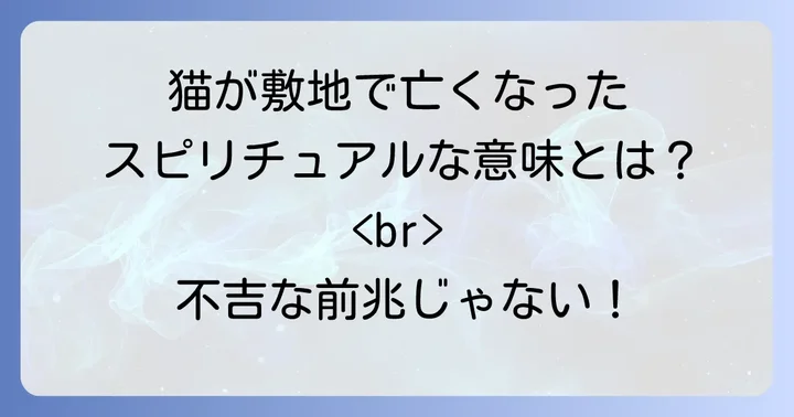 亡くなった猫への感謝と供養の心