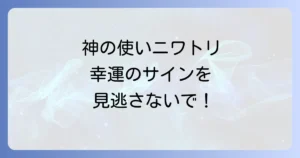 神社 ニワトリ スピリチュアルの意味を徹底解説！神の使いが告げる幸運のメッセージと有名な神社
