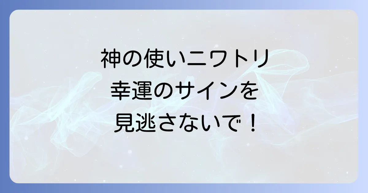 神社 ニワトリ スピリチュアルの意味を徹底解説!神の使いが告げる幸運のメッセージと有名な神社