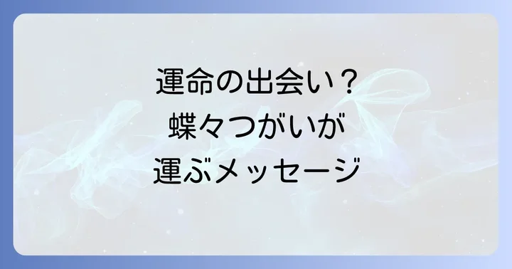 恋愛・結婚における蝶々 つがいのスピリチュアルメッセージ