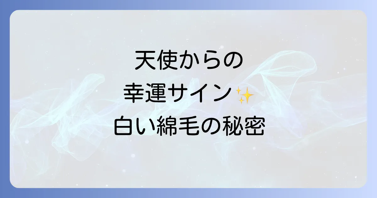 「白い綿毛」が示すスピリチュアルな意味とは?天使からのメッセージと幸運のサインを徹底解説