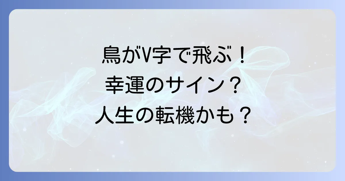 鳥がVの字で飛ぶスピリチュアルな意味とは？幸運のサインから人生の転機まで徹底解説