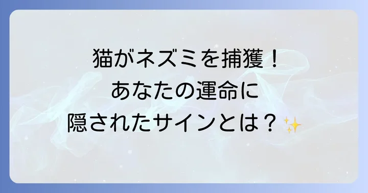 状況別で読み解く！猫がネズミを捕まえるスピリチュアルな意味