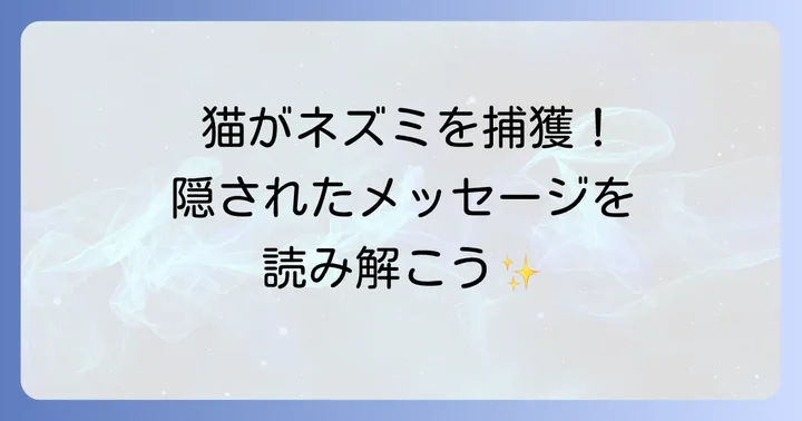スピリチュアルなメッセージを受け取った後の心構えと行動