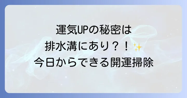 排水溝掃除を習慣化し、良い運気を維持するコツ