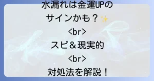台所の水漏れはスピリチュアルなメッセージ？金運・健康運への影響と対処法を徹底解説