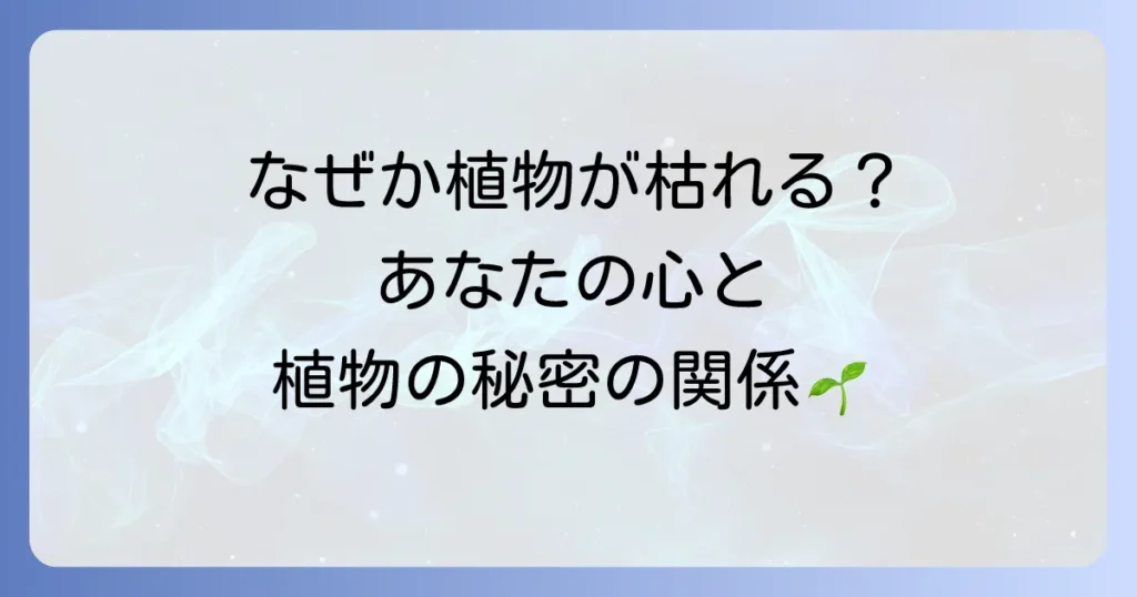 植物を枯らす人、そのスピリチュアルな意味とは？あなたのエネルギーと植物の関係を徹底解説