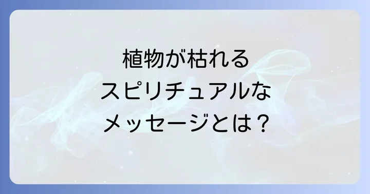 植物とスピリチュアルな繋がりを理解する