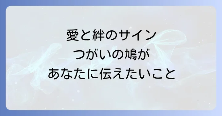 つがいの鳩のスピリチュアルメッセージを受け取った時に心がけたいこと