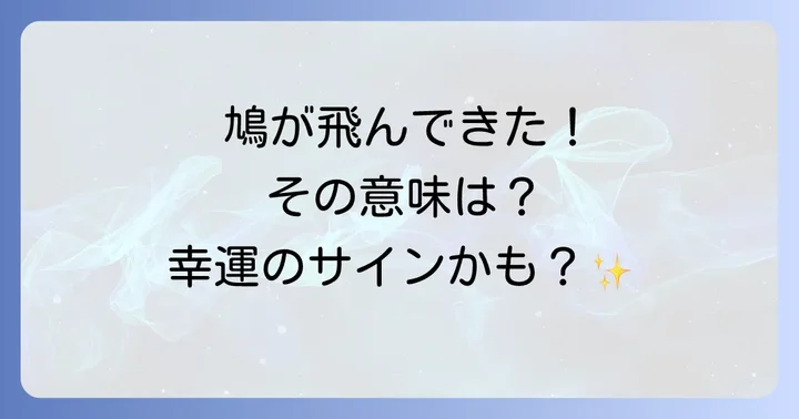 【色・数別】鳩が飛んでくるスピリチュアルな意味とメッセージ