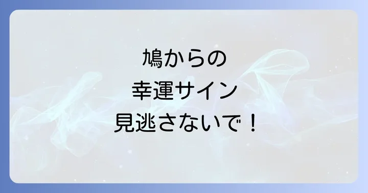 【行動別】鳩が飛んでくるスピリチュアルな意味とメッセージ