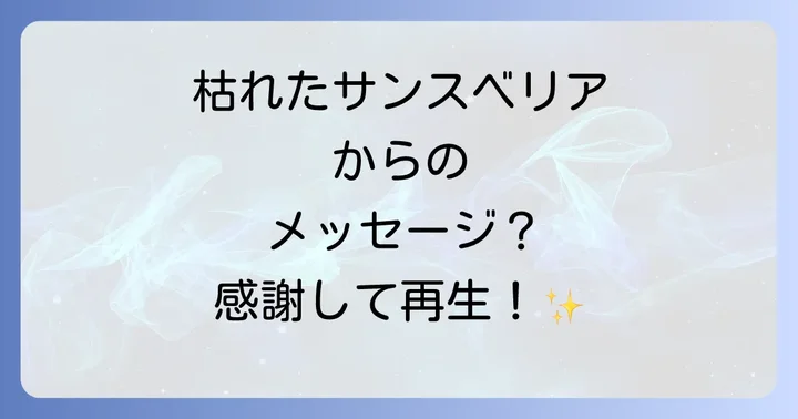 枯れたサンスベリアへの対処法：実践とスピリチュアルなケア