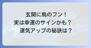 鳥のフンが玄関に！スピリチュアルな意味は幸運？対処法と運気アップのコツを徹底解説