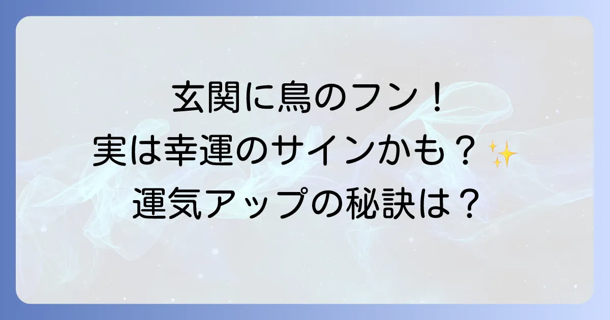 鳥のフンが玄関に!スピリチュアルな意味は幸運?対処法と運気アップのコツを徹底解説