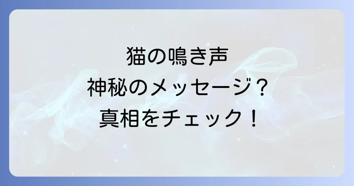 スピリチュアルだけじゃない！夜中の猫の鳴き声の現実的な原因と対処法