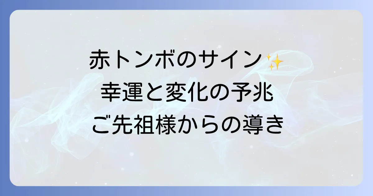 赤トンボのスピリチュアルな意味を徹底解説!幸運と変化のメッセージ、ご先祖様からの導き