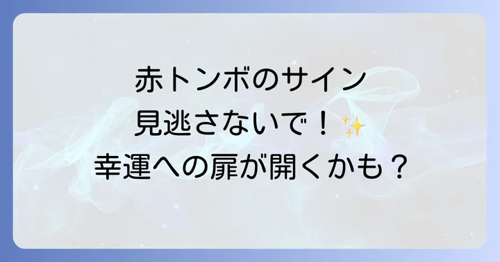 赤トンボのメッセージを日々の生活に活かすコツ