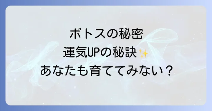 ポトスを育てる上での注意点とスピリチュアルなケア