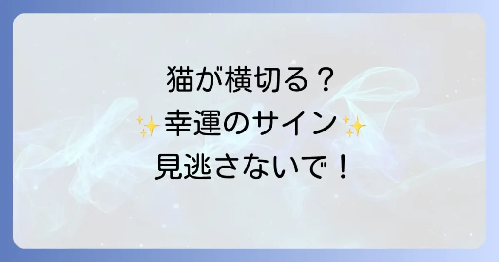 猫が左から右へ横切るスピリチュアルな意味を徹底解説！幸運のサインとメッセージ