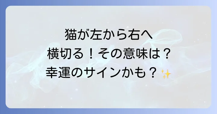猫が左から右へ横切るスピリチュアルな意味を徹底解説！