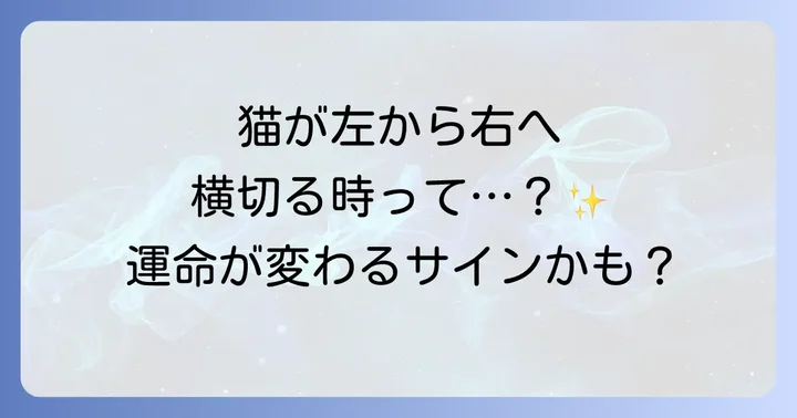 猫の横切り方で変わるスピリチュアルなメッセージ