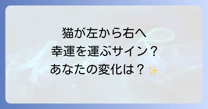 猫からのスピリチュアルメッセージを日常に活かす方法